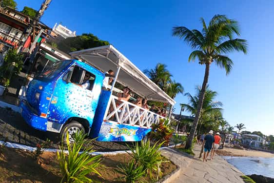 City Tour (Trolley) 4